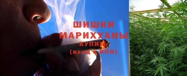 гидропоника Елабуга