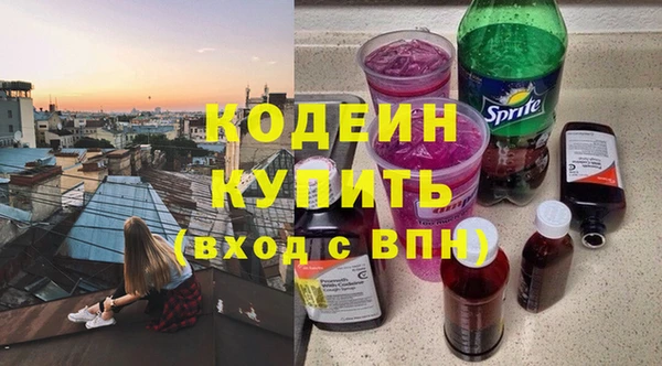 стаф Ельня