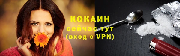 стаф Ельня