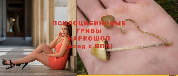 гидропоника Елабуга