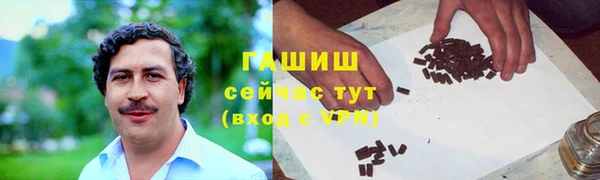 стаф Ельня