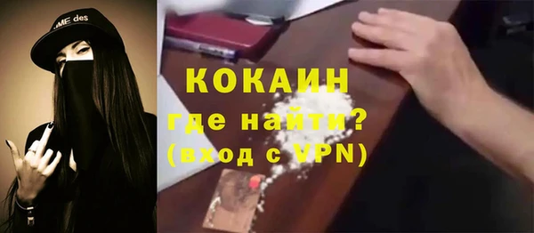 стаф Ельня