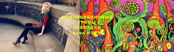 стаф Ельня