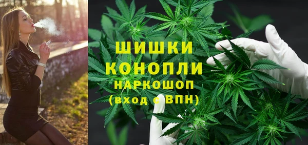 стаф Ельня