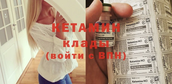 стаф Ельня