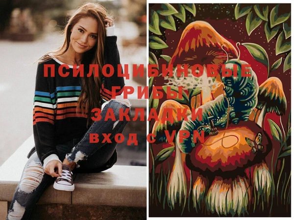 гидропоника Елабуга