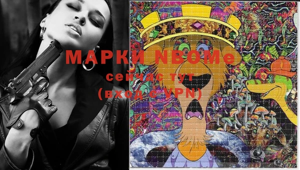 гидропоника Елабуга