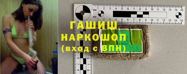 стаф Ельня