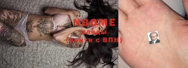 стаф Ельня