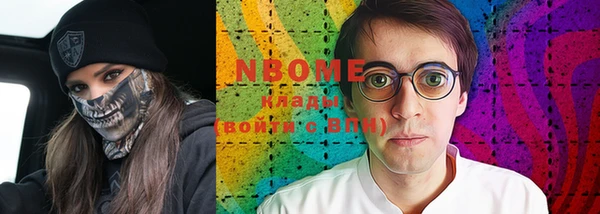 стаф Ельня