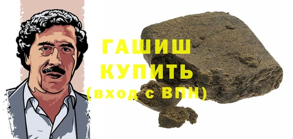 стаф Ельня