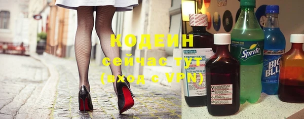 стаф Ельня