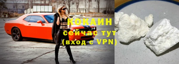 стаф Ельня
